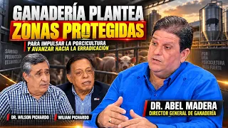 BUSCAN RECUPERAR LOS NIVELES DE PRODUCCIÓN PORCINA PREVIOS A LA PESTE AFRICANA