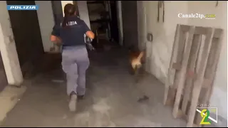 Catania, over two kilos of drugs hidden in an apartment building stairwell: