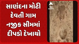 Leopard In Sanand | સાણંદના મોટી દેવતી ગામ નજીક સીમમાં દીપડો દેખાયો