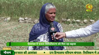कृषि और ग्रामीण विकास परियोजनाओं पर JICA का जोर...