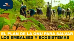 UN Green Fund decides to disburse this fortune following the devastating drought that struck the ...