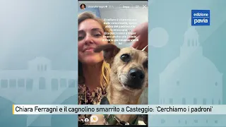 Chiara Ferragni and the lost puppy in Casteggio: 'Help us find his owners'