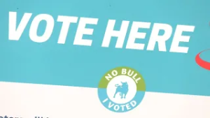 Saturday marks end of early voting for NC primary