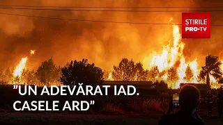 Disaster in Western Europe, Especially Italy, France, and Spain, Due to Wildfires