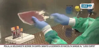 POLLA BLOOD DONATION SERVICE