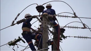 Birds Among Causes of Power Outages, Utility Explains