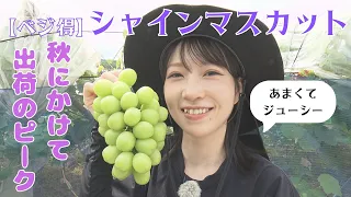 [Veggie Savings] Grapes