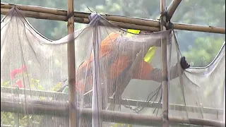 TVB News at 7:30｜31 JUL 2026｜HONG KONG English Latest NEWS｜