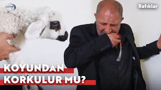 The Tiny Lamb Put the Big Guy in His Place 😂 | Rafıklar Episode 2