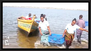 LAKE VICTORIA FISH DEPLETION HITS INCOME FOR FISHERMEN AND TRADERS