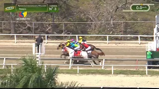 3ª. carrera | FAIRYTALE | Hipódromo La Rinconada | Reunión 06 | 2026