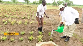 UDC renews call for investment in agro-processing and value addition