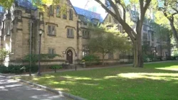 Yale University employee shot during attempted carjacking, students react to incident
