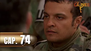 Tres Caínes - Capítulo 74 - Autor intelectual