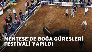 A bullfighting festival was held in Menteşe.
