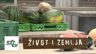 SBTV - ŽIVOT I ZEMLJA - 26.07.2026.