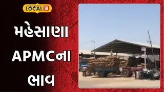 Mehsana APMC prices | રજકા બી અને ગુવારમાં તેજી, એરંડાની આવક સૌથી વધુ | Local18