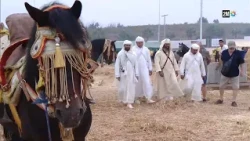 معرض الفرس بالجديدة : الخميس 15 أكتوبر 2026