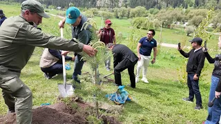 "ILI ALATAU" STATE NATIONAL NATURAL PARK | JOURNALISTS' ALLEY