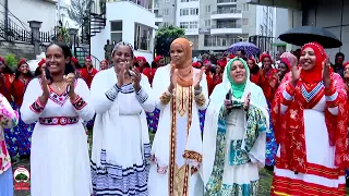 Birraan Asheeta || Dhandhama Goobee fi Aseesaa