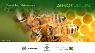 Agrocultura | Coffee innovations and rare bees in Noronha | 09/12/2026