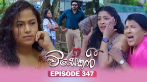 Visekari (විසේකාරී) | Episode 347 - (2026-02-23) | ITN