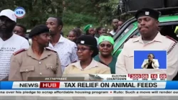 High Feed Costs Blamed for Milk Shortage as Farmers Seek Tax Relief