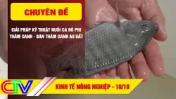 AGRICULTURAL ECONOMY 10/10/2026 | TECHNICAL SOLUTIONS FOR INTENSIVE AND SEMI-INTENSIVE TILAPIA FA...