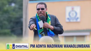 MWIGULU ACHARUKA VIBAYA....AONYA MADIWANI WANAOLUMBANA MOSHI