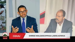 Adwaa- Dirree walqixxummaa labse