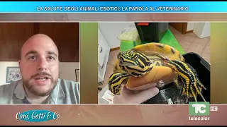 La salute degli animali esotici: la parola al veterinario - 20.08.2026