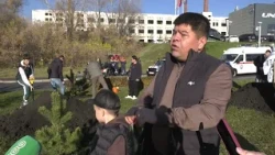 Рустам Шарипов с сыном высадил в Уфе сосны в честь Дня Отца