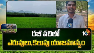 Fertilizer and weed management | రబీ వరిలో ఎరువులు,కలుపు యాజమాన్యం | Matti Manishi | 10TV News