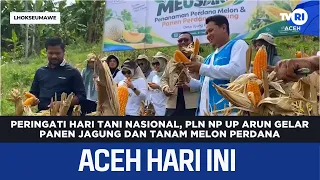 Commemorating National Farmers Day, PLN NP UP Arun Holds Inaugural Corn Harvest and Melon Plantin...