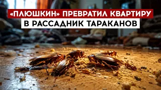 "Hoarder" turns apartment into a cockroach breeding ground
