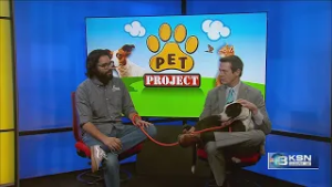 Pet Project: Wattles up for adoption at Kansas Humane Society