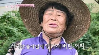 Don't cry! Mom Ae-sim_Mom's Spring Day Episode 568 Preview TV CHOSUN Broadcast August 2, 2026