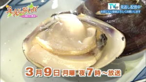 新・ええじゃないか～いい旅 いい発見～ 2026年3月9日放送