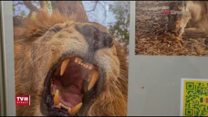 Afrika v obrazoch v Štátnej vedeckej knižnici