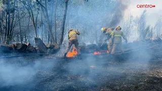 Rapid intervention extinguishes fire in Oliveira do Hospital in under an hour