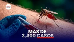 Chikungunya supera los 3,400 casos en Nicaragua: pacientes relatan dificultades para recuperarse