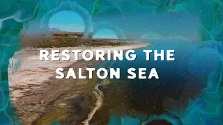 Restoring The Salton Sea: Progress, Promise, And Pressure