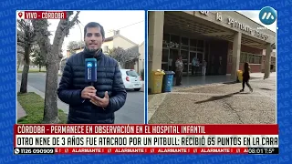 Otro nene de 3 años fue atacado por un pitbull en Córdoba y recibió 65 puntos en la cara
