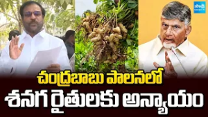 YSRCP MLC Rama Subba Reddy Injustice to Groundnut Farmers Under Chandrababu Rule | Sakshi TV