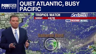 Tropical waves hindered by Saharan dust