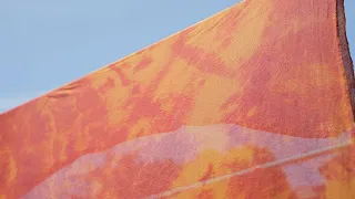 Botanical Dyer: Cultivating Color