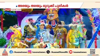 പൂരന​ഗരിയെ ഇളക്കിമറിച്ച് പുലികൾ; വർണങ്ങളാൽ നിറഞ്ഞ്, താളത്തിൽ തിമിർത്താടി സ്വരാജ് റൗണ്ട്| Pulikali