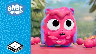 Il procione pensa che l'arte dei lemming sia spazzatura 🎨| Baby Lemmings | Boomerang Italia