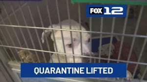 Quarantine lifted at Multnomah Co. pet shelter after outbreak of deadly illness