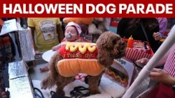36th annual Tompkins Square Halloween dog parade takes over East Village